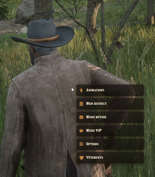 Menu contextuel Savage affiché après une interaction ALT sur le personnage.